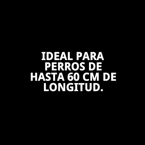 Collar DFV Insecticida: Protección Efectiva para tu Perro