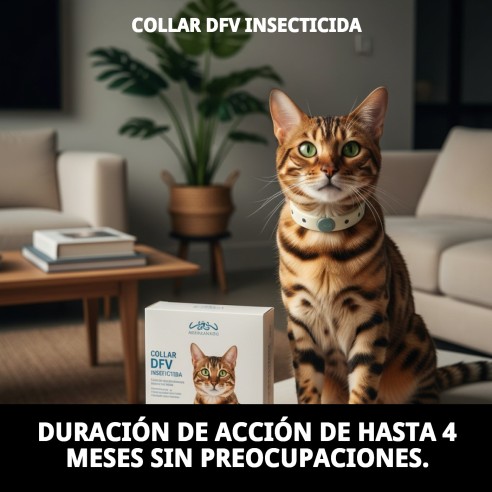 Collar DFV Insecticida: Protección Efectiva para tu Perro