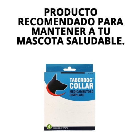 Collar DFV Insecticida: Protección Efectiva para tu Perro