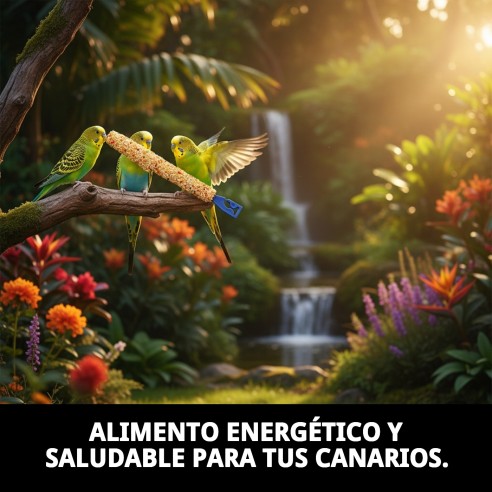 Barritas Muda para Pericos - Snack Energético 2 Unid