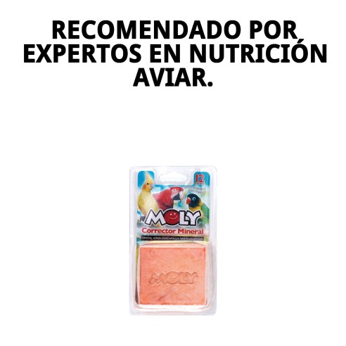 Moly Calcio para Loros 150g - Vitalidad y Salud Avícola