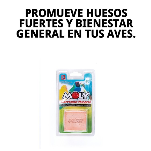 Moly Calcio para Pájaros 100g - Suplemento Mineral Ideal