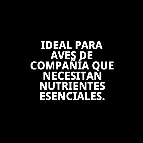 Moly Calcio para Pájaros 100g - Suplemento Mineral Ideal