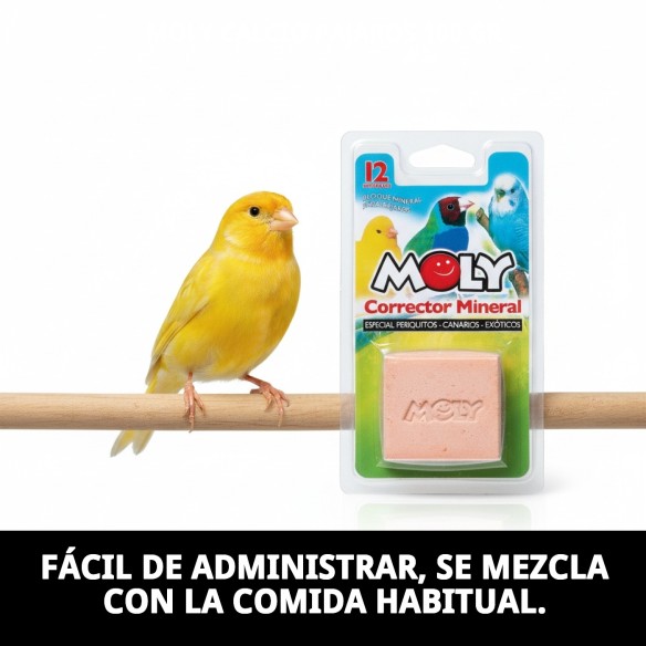 Moly Calcio para Pájaros 100g - Suplemento Mineral Ideal