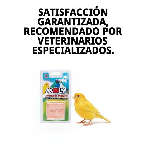 Moly Calcio para Pájaros 100g - Suplemento Mineral Ideal