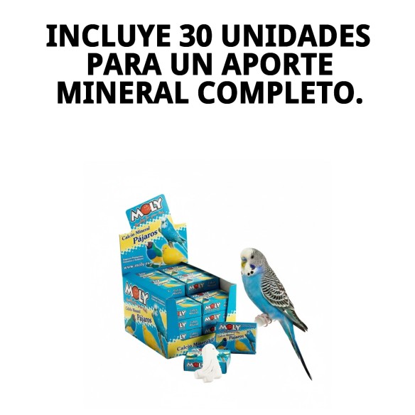 MOLY Expositor 30 Unid. de Calcio para Aves Saludables