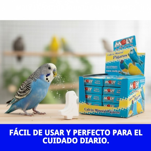 MOLY Expositor 30 Unid. de Calcio para Aves Saludables