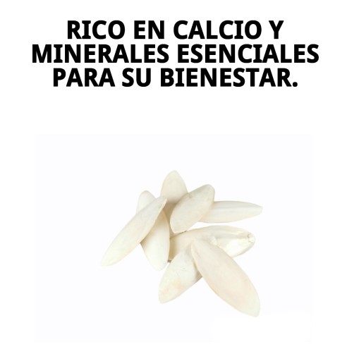 MOLY HUESO DE JIBIA 50 pzas - Snack ideal para tu mascota