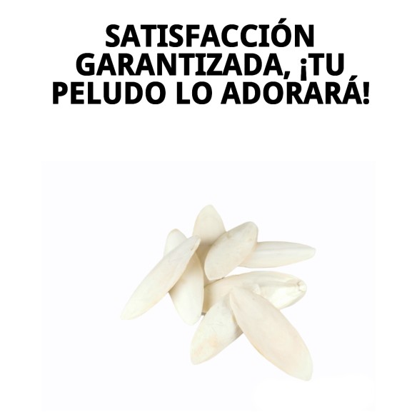 MOLY HUESO DE JIBIA 50 pzas - Snack ideal para tu mascota