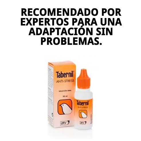 Tabernil Anti Stress 20 ml: Alivia el estrés en aves