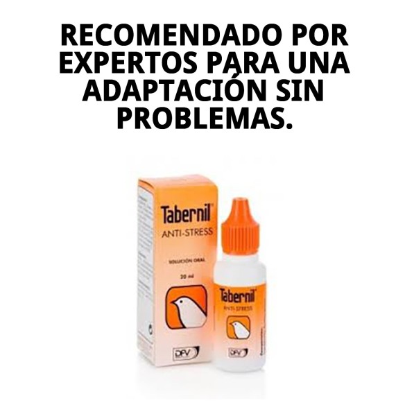 Tabernil Anti Stress 20 ml: Alivia el estrés en aves