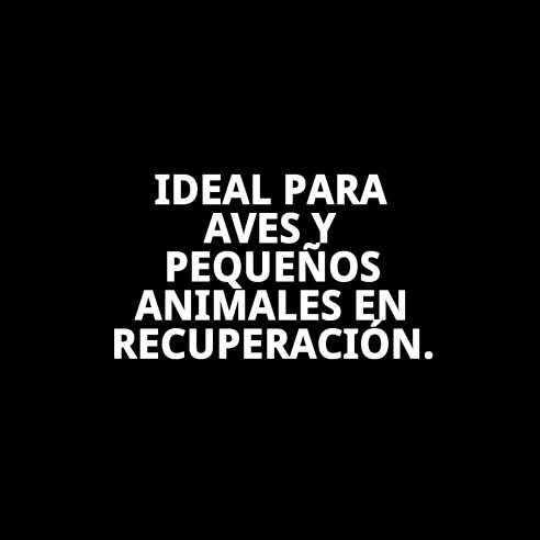 Tabernil Complejo B 20 ml: Vitaminas Esenciales para Mascotas