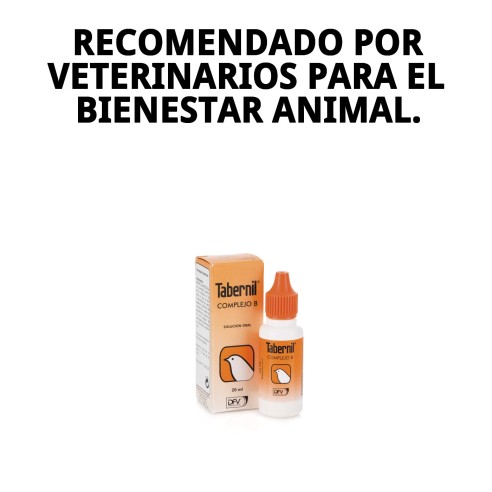 Tabernil Complejo B 20 ml: Vitaminas Esenciales para Mascotas