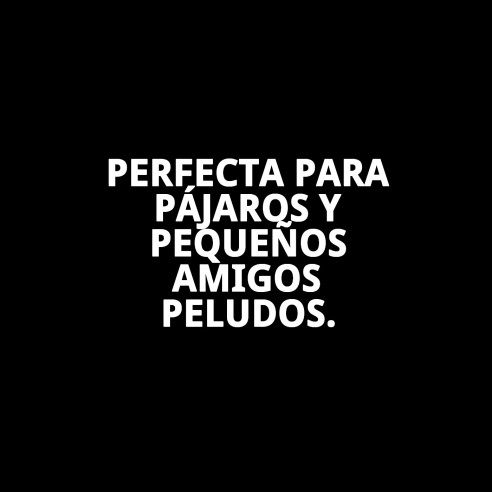 Bizcochera Cristal Interior para Accesorios de Jaulas