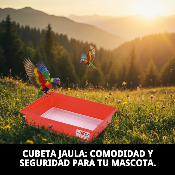 Cubeta Jaula Colorida para Mascotas - Compra Online en MOLY.es