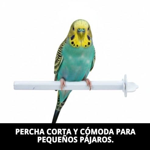 Palo Corto Plástico para Jaulas - Accesorios Esenciales