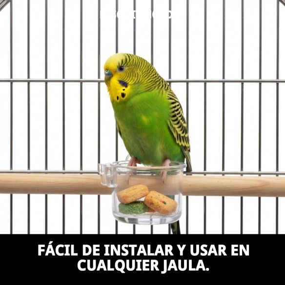 Portasalas Bizcochera: Accesorios Esenciales para Jaulas