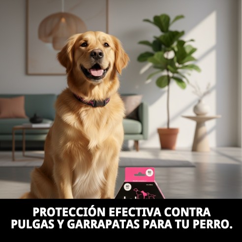 Collar Taber Permetrina 60 cm: Protección Antipulgas Efectiva