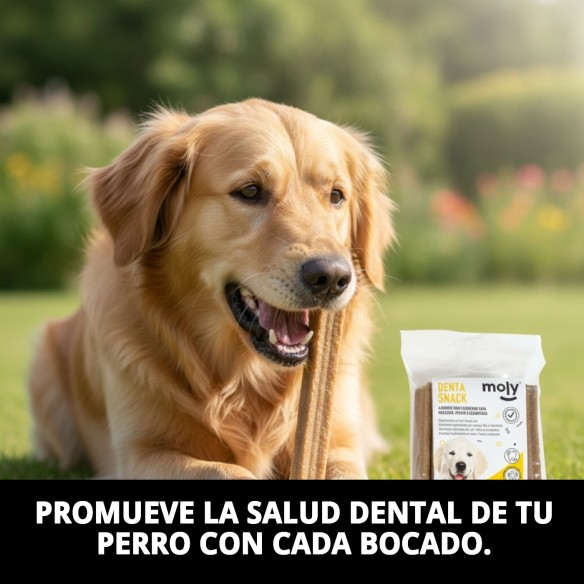 DENTA SNACK MOLY Mediano 7PCS: Delicia y Salud Dental