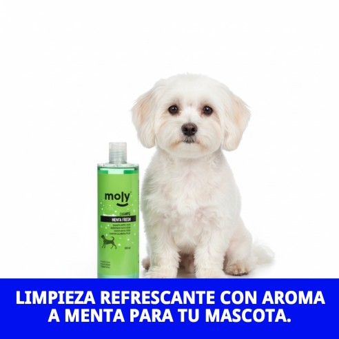 Champú Menta Fresh 500 ML: Protección y frescura para tu perro