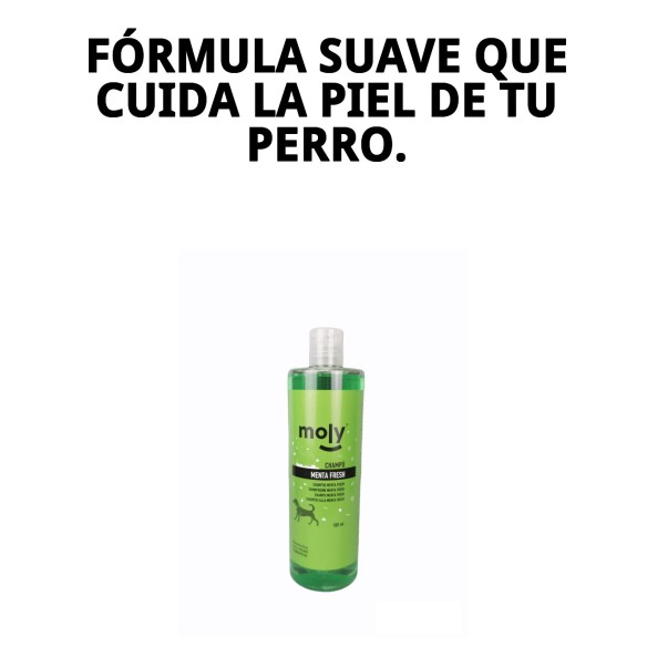 Champú Menta Fresh 500 ML: Protección y frescura para tu perro