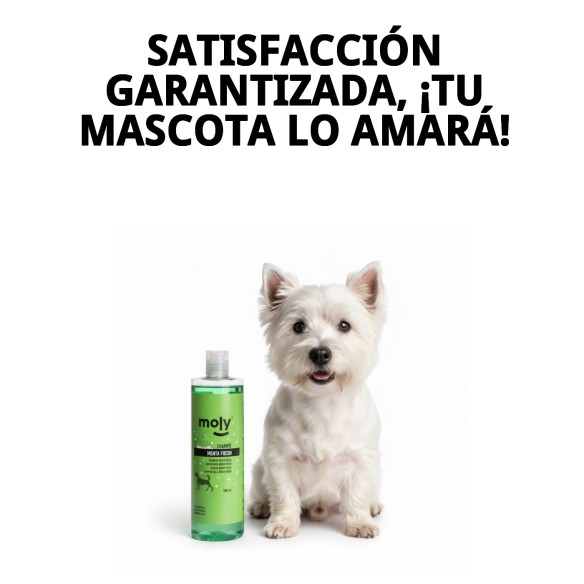 Champú Menta Fresh 500 ML: Protección y frescura para tu perro