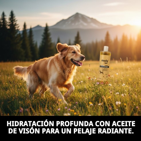 Champú Aceite de Visón 500 ml: Pelo Sedoso y Limpio