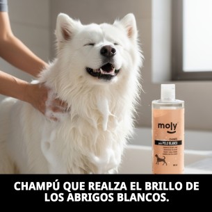CHAMPU PELO BLANCO 500 ML 2
