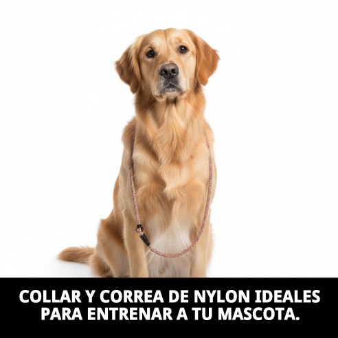 Collar y Ramal Nylon Adiestra 120x0.80cm para Mascotas