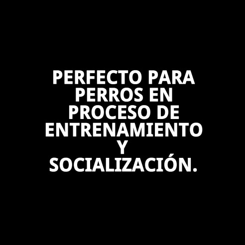 Collar y Ramal Nylon Adiestra 120x0.80cm para Mascotas