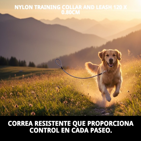 Collar y Ramal Nylon Adiestra 120x0.80cm para Mascotas