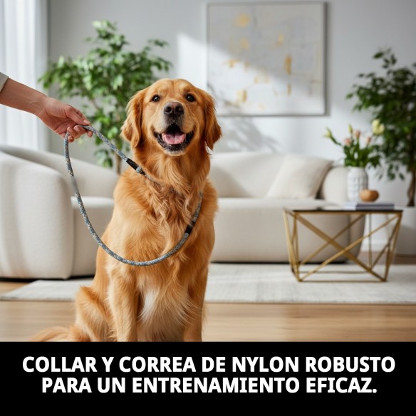 Collar y Ramal de Nylon para Adiestramiento - 120x1.30cm