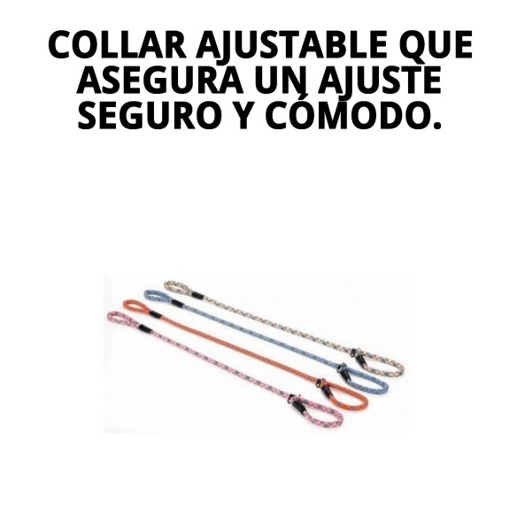 Collar y Ramal de Nylon para Adiestramiento - 120x1.30cm