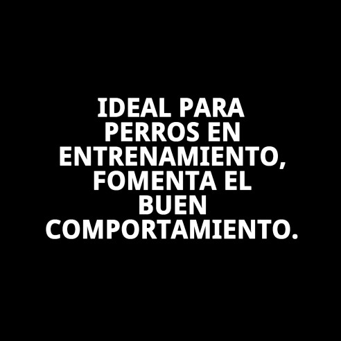 Collar y Ramal de Nylon para Adiestramiento - 120x1.30cm