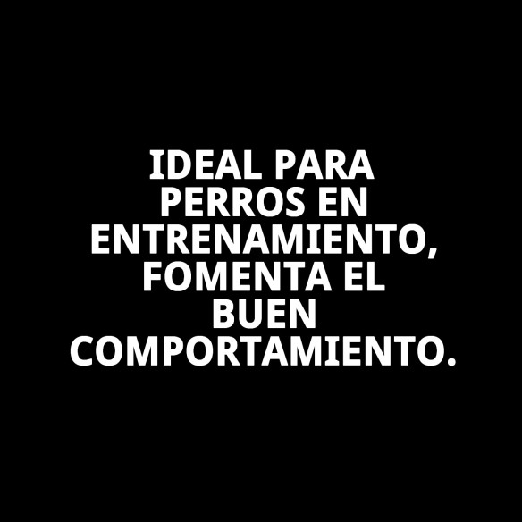 Collar y Ramal de Nylon para Adiestramiento - 120x1.30cm