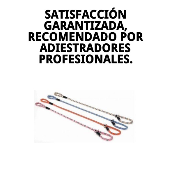 Collar y Ramal de Nylon para Adiestramiento - 120x1.30cm