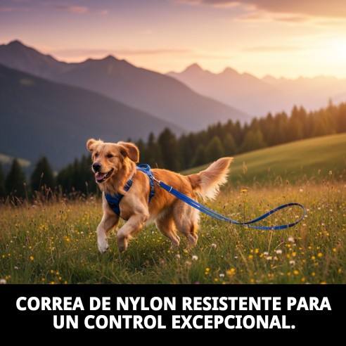 Ramal Nylon Policía 200cm x 1,5cm - Resistencia y Estilo