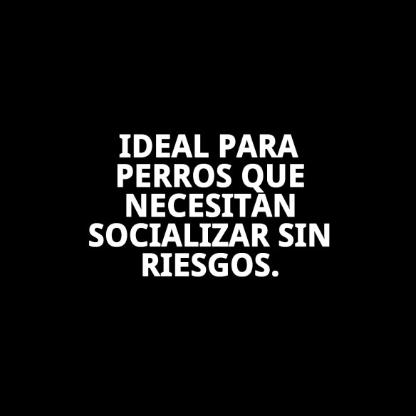 Bozal Cesta Cuero y Plástico N6: Comodidad y Estilo para tu Mascota