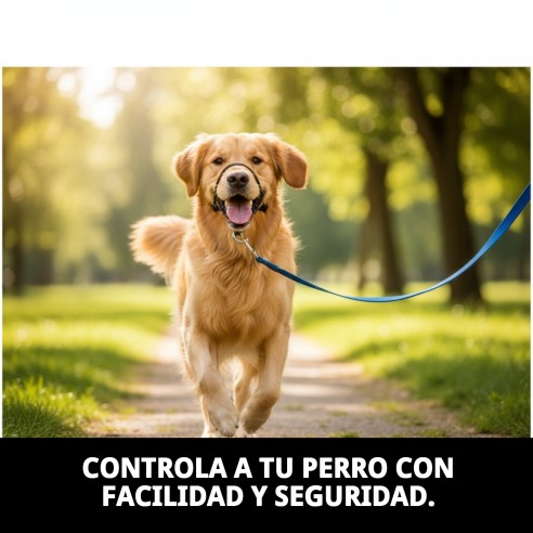 Collar Dog Control N3 32 cm: Adiestramiento Seguro y Efectivo