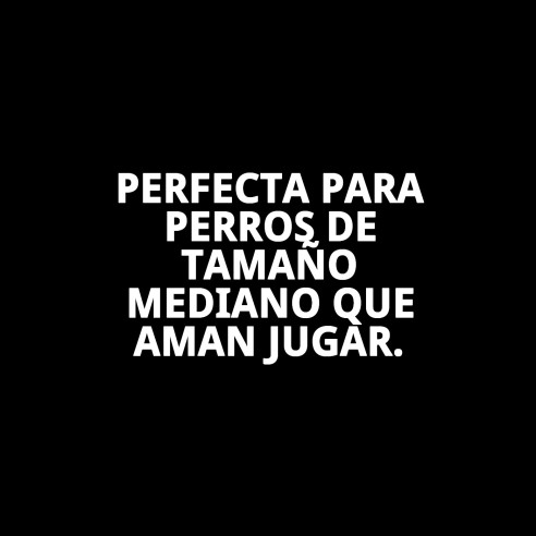 Pelota Rugby de Caucho M - Mordedor Divertido y Duradero