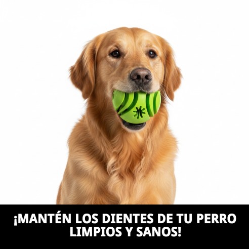 Pelota Dental de Caucho: ¡Cuida los Dientes de tu Mascota!