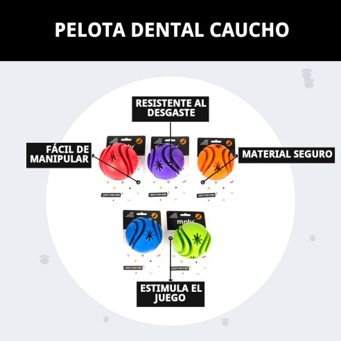 Pelota Dental de Caucho: ¡Cuida los Dientes de tu Mascota!