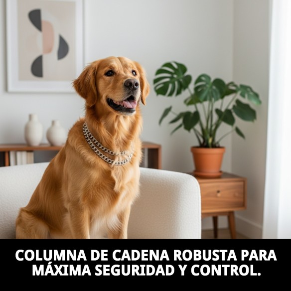 Collar Estran Cadena 45cm x 2.5mm para Mascotas