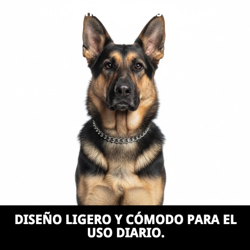 Collar Estran Cadena 45cm x 2.5mm para Mascotas