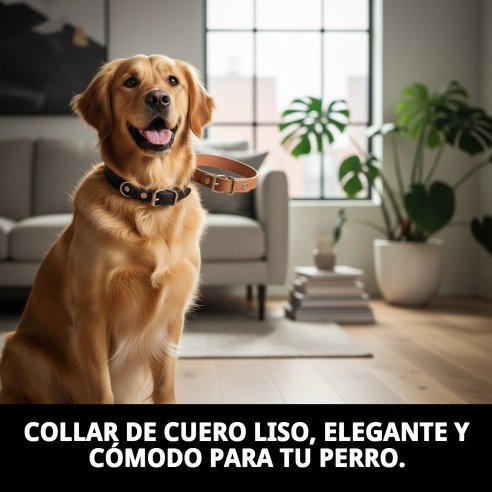 Collar de Cuero Liso para Mascotas 30 x 1.3 cm