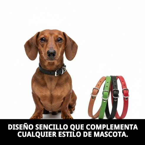 Collar de Cuero Liso para Mascotas 30 x 1.3 cm