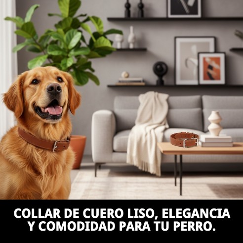 Collar de cuero liso 40x1.5 cm - Calidad y estilo para tu perro