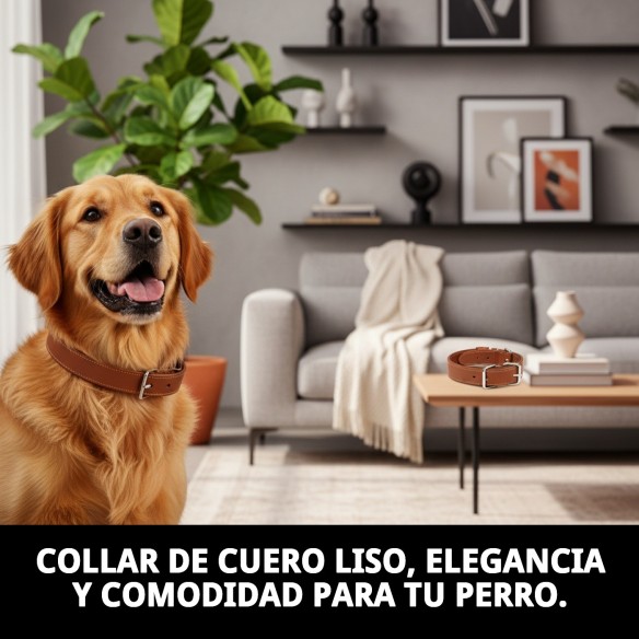 Collar de cuero liso 40x1.5 cm - Calidad y estilo para tu perro