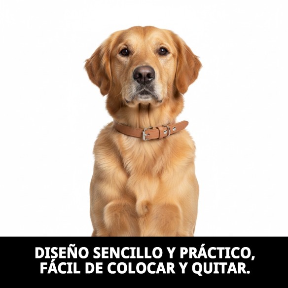 Collar de cuero liso 40x1.5 cm - Calidad y estilo para tu perro