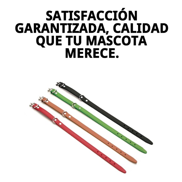 Collar de cuero liso 40x1.5 cm - Calidad y estilo para tu perro